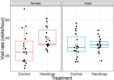 Handicapping Males Does Not Affect Their Rate of Parental Provisioning, but Impinges on Their Partners' Turn Taking Behavior